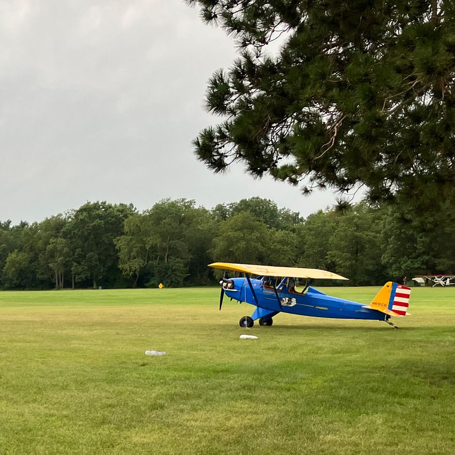 nice blue pietenpol on a grassy field with trees and gray sky