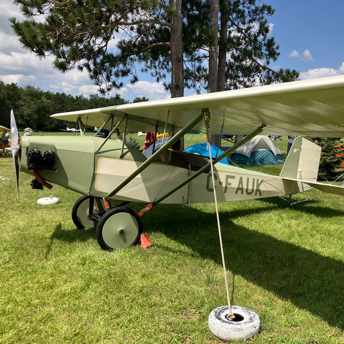 light army green pietenpol on grass at  brodhead